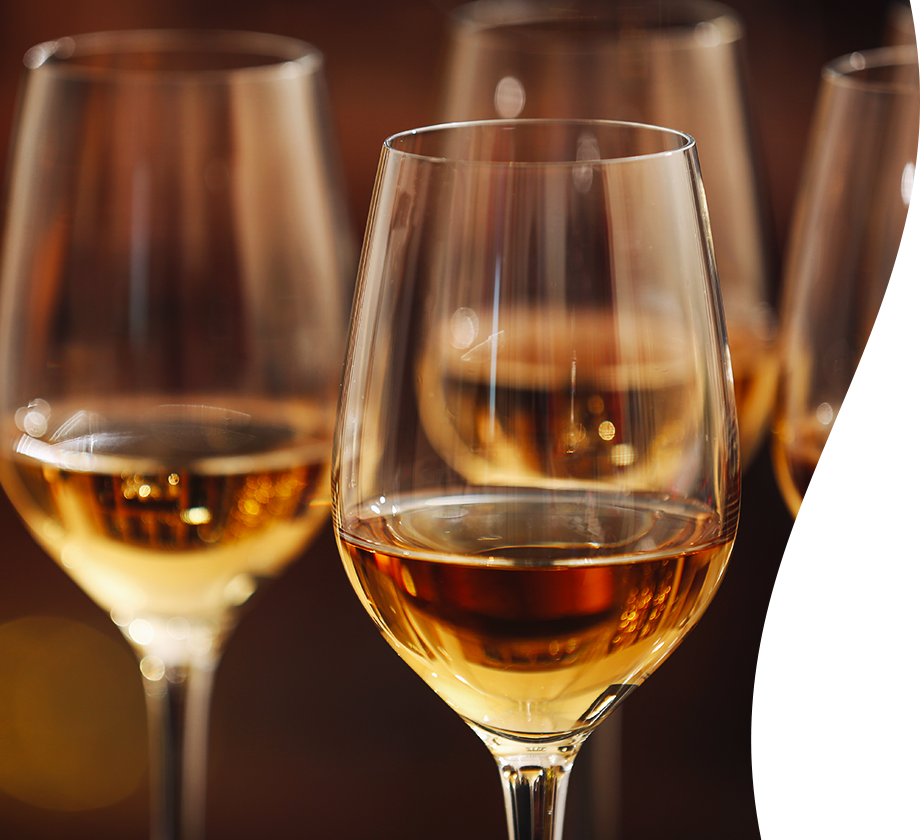 Dégustation de vins